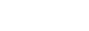 incarna raid on oculus VR