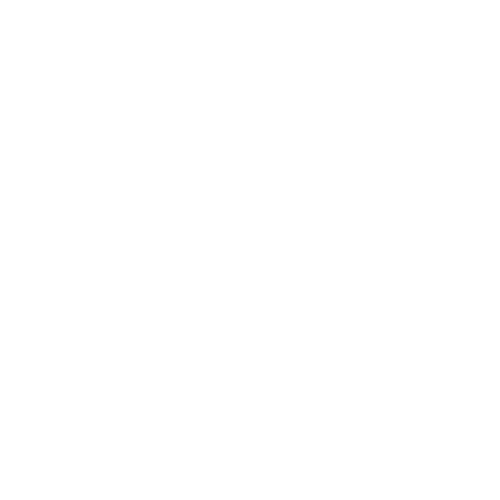incarna studios incarna adventures logo